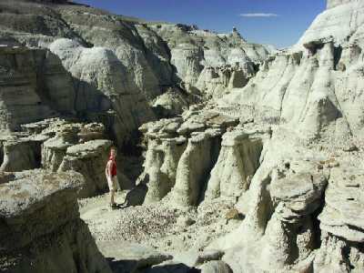28o
Bisti Badlands 12
