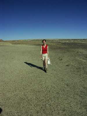 28p
Bisti Badlands 13

