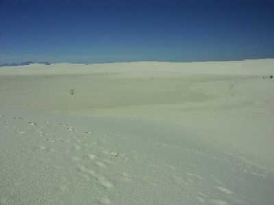32g
White Sands 5
