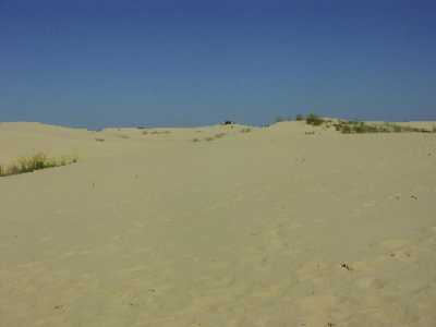 34c
Monahan Sandhills 1
