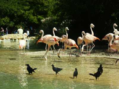 36b
Seaworld 2
