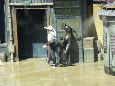 36c
Seaworld 3
