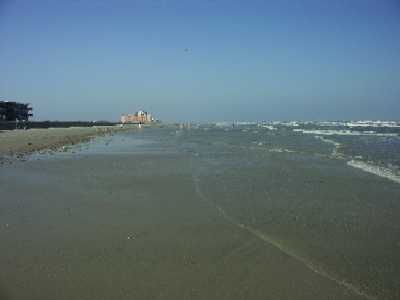 37j
Padre Island 1
