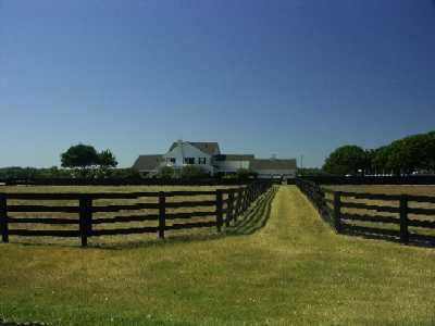 38g
Southfork Ranch 4
