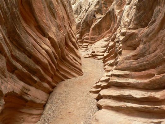 Little Wildhorse Canyon
