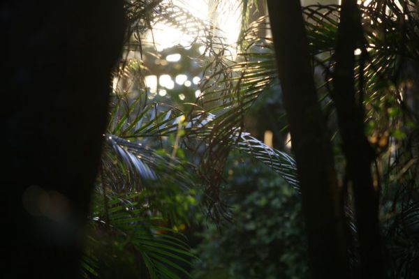 File0128.JPG