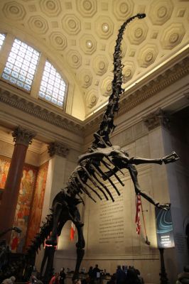 IMG_3499.JPG
