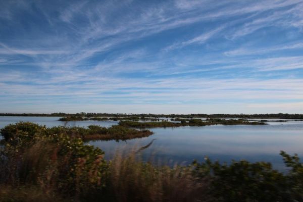 IMG_4240.JPG