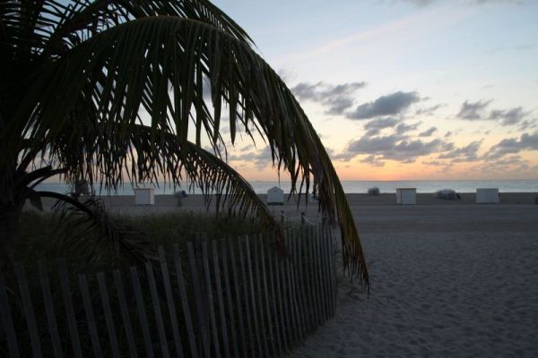 IMG_4627.JPG