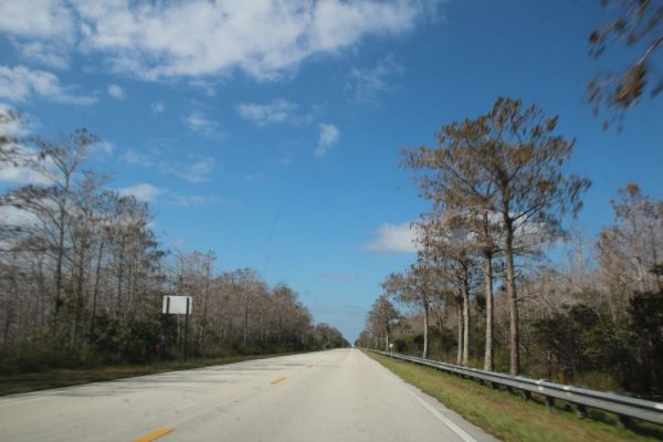 IMG_5698.JPG