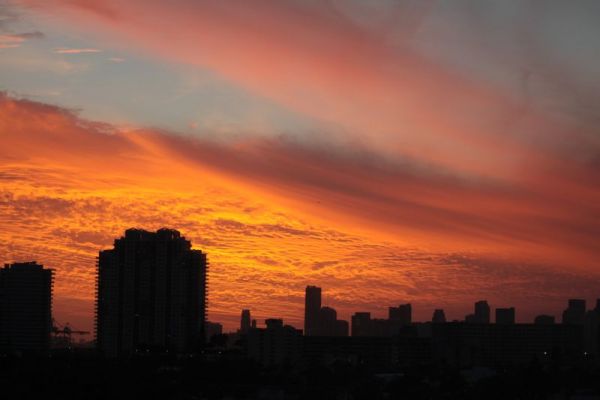 IMG_5754.jpg