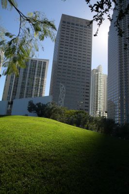 IMG_5956.jpg