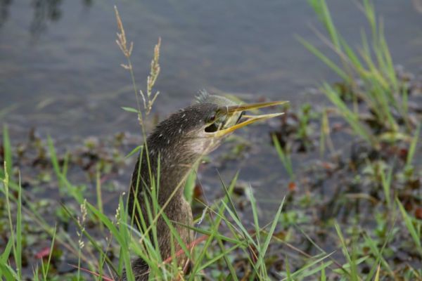 IMG_6148.jpg