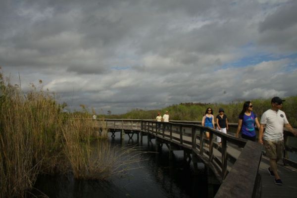IMG_6161.jpg