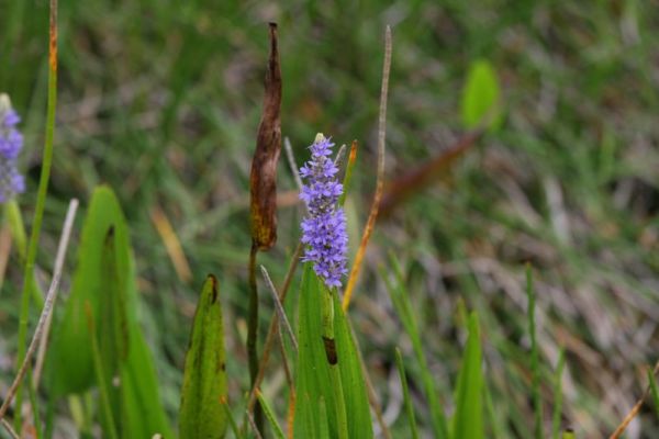 IMG_6212.jpg