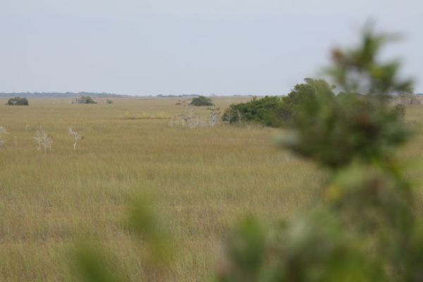 IMG_6247.jpg