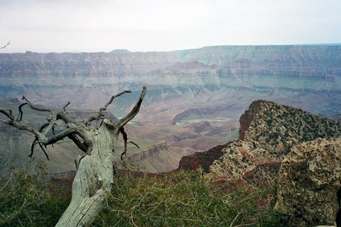 007_3A1.JPG