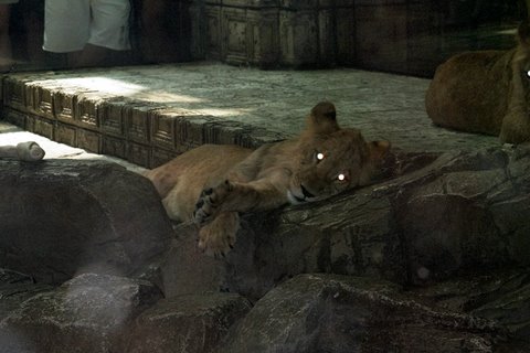 022_19A8.JPG