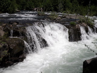 P6280197.JPG