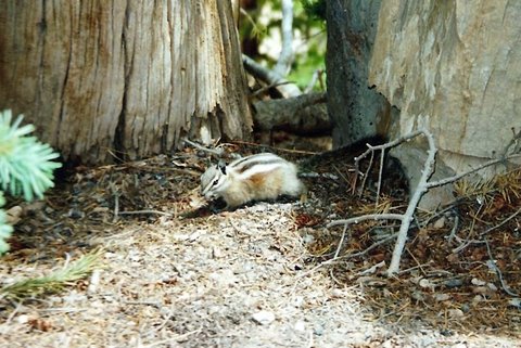 image-10.jpg