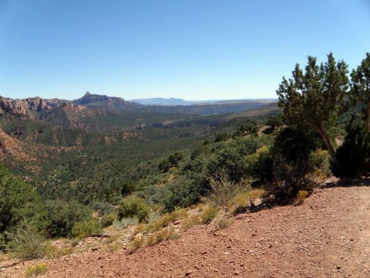 P9130061.JPG