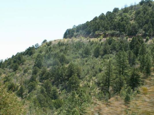 Auf dem Weg nach Prescott
