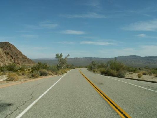 Joshua Tree
