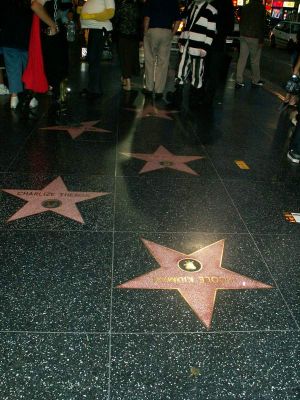 Berühmte Sterne
Das ist er also ... der Weg der Stars .. 

