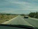 Interstate Joshua Tree