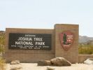 Joshua Tree