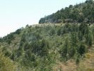 Auf dem Weg nach Prescott