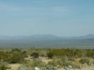 Joshua Tree