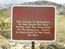 Joshua Tree