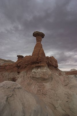 Toadstoal Hoodoo
