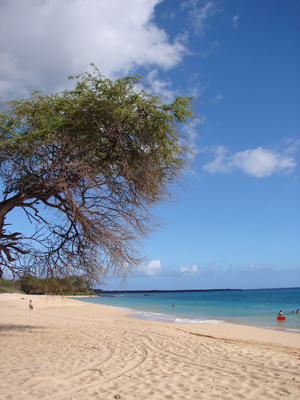 BigBeach1.jpg