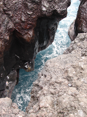 Blowhole.jpg