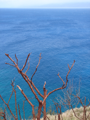 Kahekili4.jpg