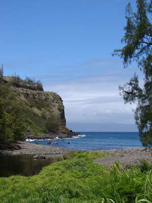 Kahekili6.jpg