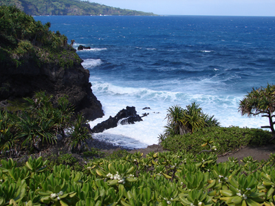 Kipahulu.jpg