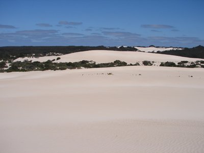 LittleSahara.jpg