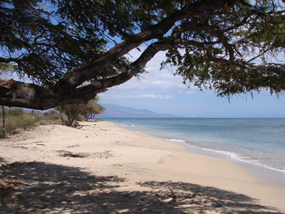 StrandLahaina.jpg