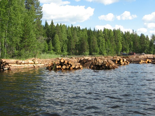 Holzlieferant_Finnland.JPG