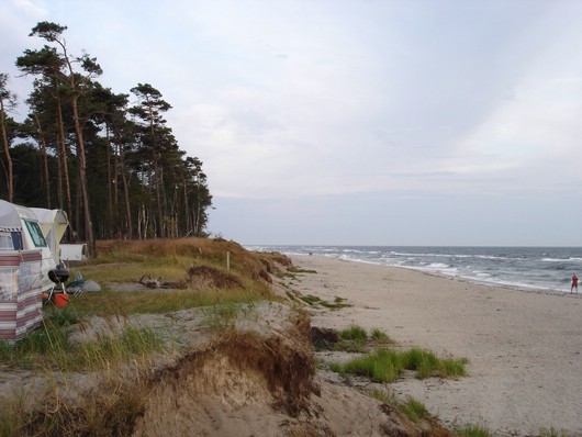 comp_DSC01965.jpg