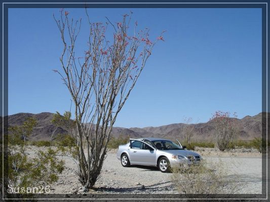 Unser Auto im Joshua Tree NP
