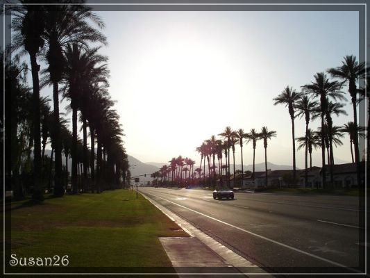 Palm Springs 2
