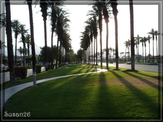 Palm Springs
