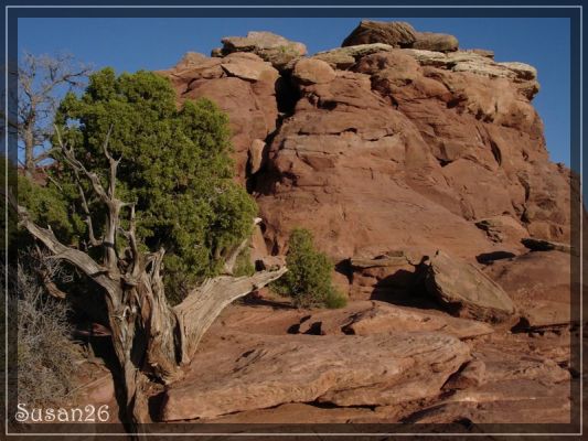 Abendstimmung im Canyonlands NP
