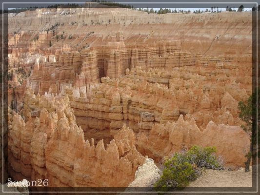 Bryce Canyon NP
