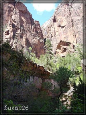 Zion NP

