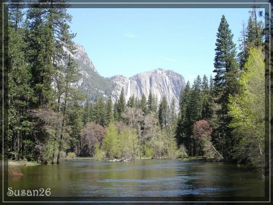 Yosemite NP
